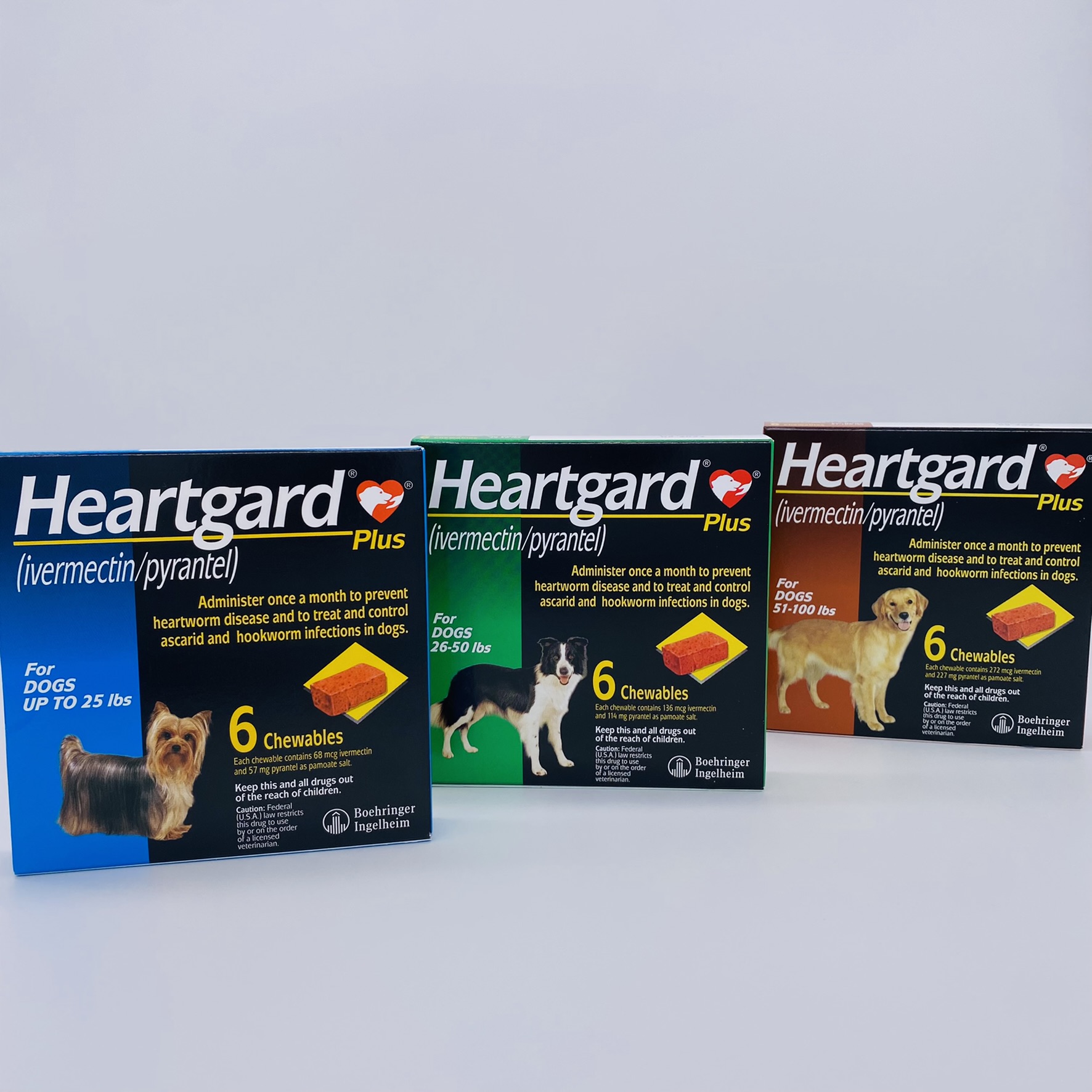 los perros mayores necesitan heartgard